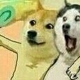 我需要安慰…