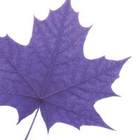 Laurier Residence (@laurierhousing) 's Twitter Profile Photo Laurier Residence (@laurierhousing) 's Twitter Profile Photo