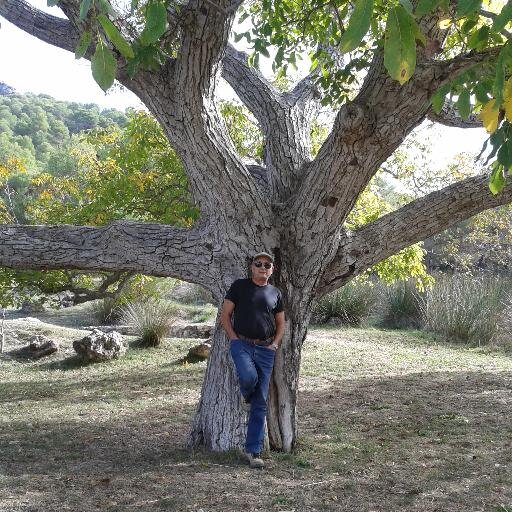 EscodaLuis's profile picture. INDUSTRIAL JUBILADO Y ciudadano cabreado