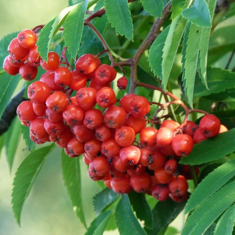 Caorunn's profile picture. Caorunn provides consultancy advice on compliance to financial service providers in Ireland