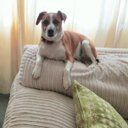 Barry Patton - @Barry_Patton - Twitter