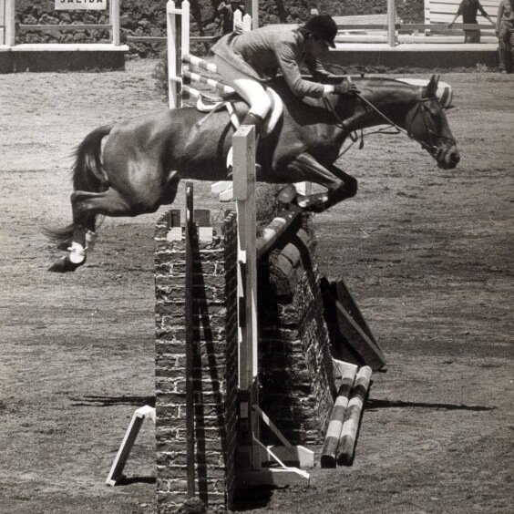 CHSANLUIS's profile picture. 