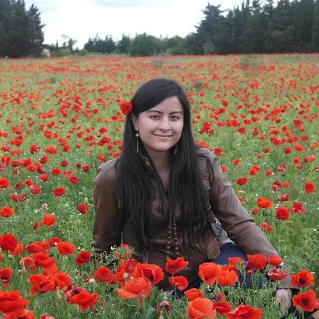Ingeniero Comercial, MBA, Directora de Estudios de Mercado. Amo a mi hija😍!