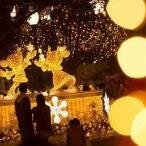 出会いは求めてませんメッセージもらっても返信しないと思います.エロい写真だけ見てください。見られるのが好きなんです。。。