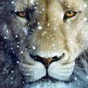 Megan Royer - @Duckiemeegz - Twitter