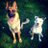 LucasSa21801327's profile image