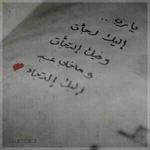 ‏‏‏‏‏‏ليس كل ما أكتبه تعبير عن شعوري أو احساسي.......و ليس كل ما أرويه يعبر عن نفسي بشكل خاص....انما هي كلمات قد يحتاجها كثير من الناس.
