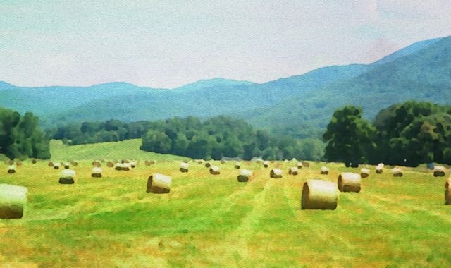 We are residents of Nelson County, Virginia who oppose the Dominion pipeline proposed to cut through our land, mountains and rivers.