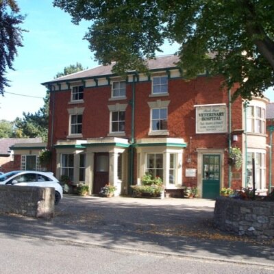 ParkIssaVets's profile picture. 