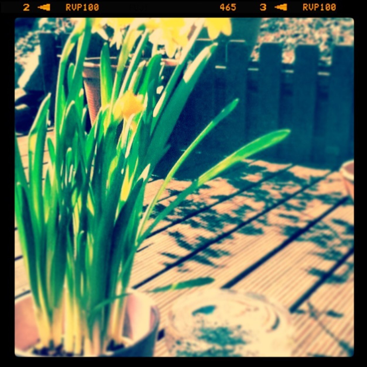 Ann_Kathrin_Z's profile picture. after climbing a high mountain you find out that there are many more mountains to climb 
Going with the wind ⛅