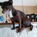 Bernadette Marks - @Fbej2 - Twitter