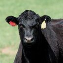 Melanie Fitzpatrick - @FitzMel - Twitter