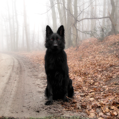 aboutpython's profile picture. Las mas bellas joyas de cualquier sabio son las que tienen dos tapas y se encuentran en las estanterías de cuaquier hogar.