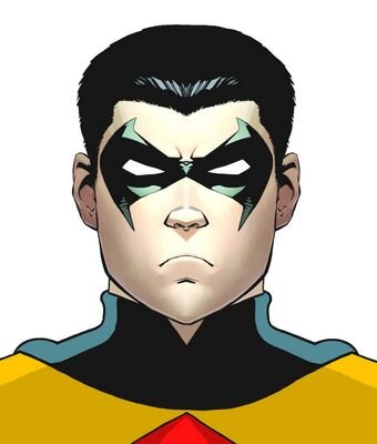 The son of Bruce Wayne and Talia al Ghul. Trained by the League of Assassins all my life, Joined my father’s side in the war on crime as the fifth Robin.
