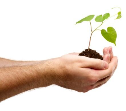 camposerviciom4's profile picture. Si alguien quiere ser el primero, que se haga el último y el servidor de todos Mc 9,35