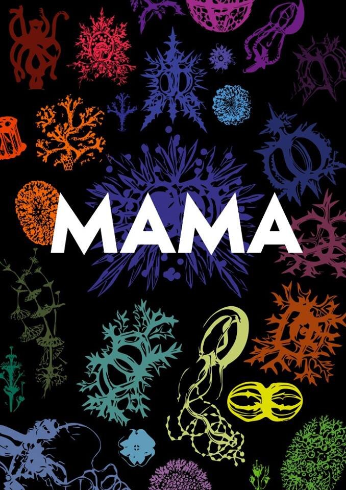 Cocktail bar/nightclub Puerto Banus. 
Deep House Tech Nu Disco, No Commercial! Sound and Spirits. Calle Ribera.  Info@mamaclub.es