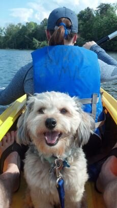 ches129's profile picture. Curious adventurer who believes that Sustainability, Coaching, Holistic Health, Entrepreneurship, & Technological Innovation will improve the world.