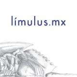 Revista Lilmulus México