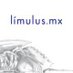 Limulus Magazine (@limulus_mx) Twitter profile photo