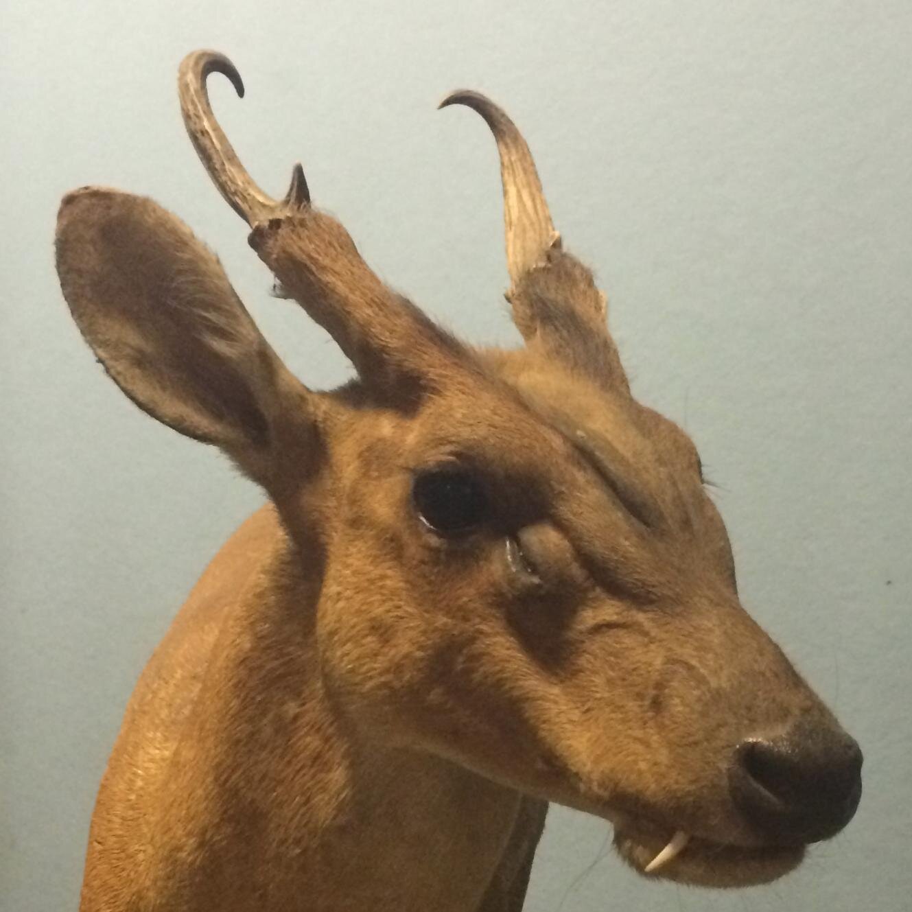 Clayton is a developer, and likes to make things out of other things.