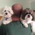 Debbie Holba (@debbie_holba) Twitter profile photo