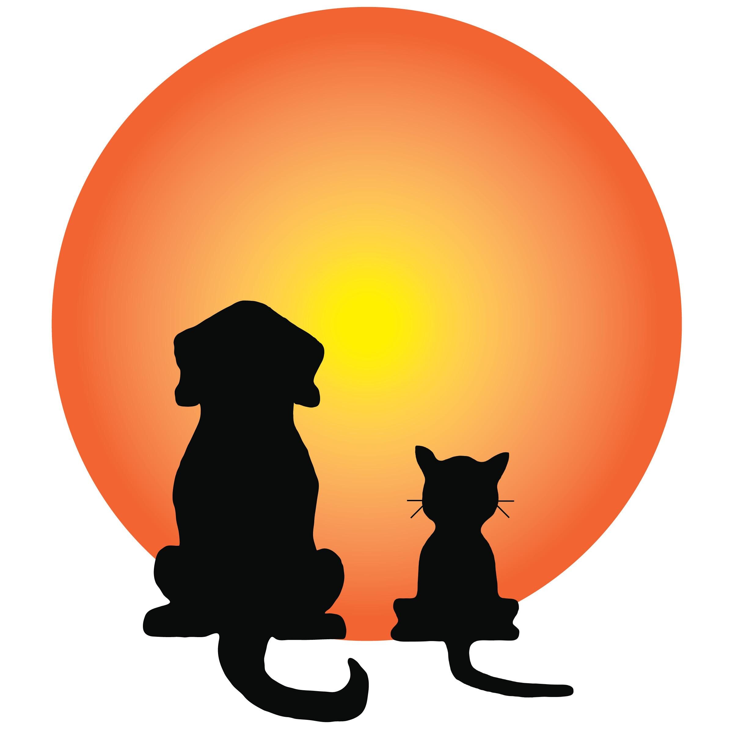 Small town vet clinic where Science and Soul blend