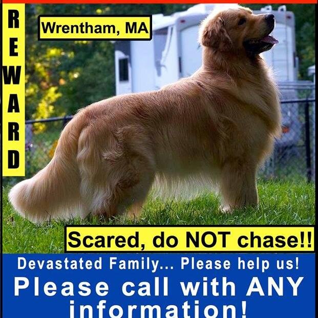 BManthorne's profile picture. 