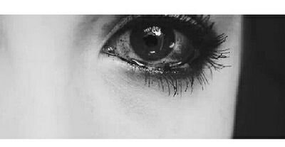 nulleentout's profile picture. 