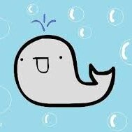 midnightwhale Profile Picture