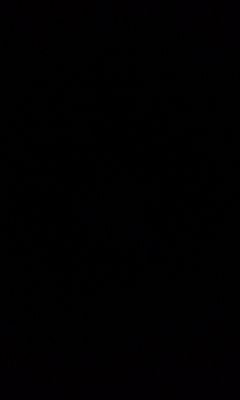 megannwalker's profile picture. 