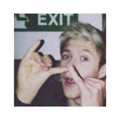 Please follow @Nirvana_Lashton thanks so much if you want a follow back tweet 'Nugget' and youll get a follow.