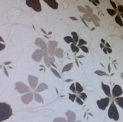 elliekl1's profile picture. 