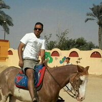mohamed sror (@mohammed_sror) 's Twitter Profile
