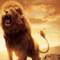 Leon Ruge (@sinleonno) 's Twitter Profile