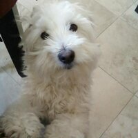 Gary Taylor (@gt48gt) 's Twitter Profile