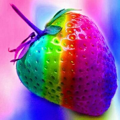 ButlerWhippets's profile picture. 