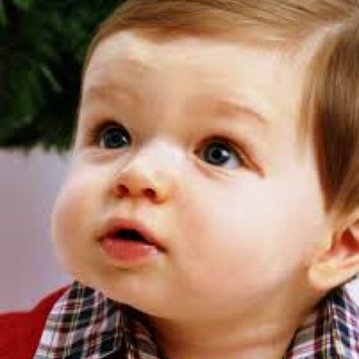 My dada is @Jacob_black33. My mommy is @moongirl_luna.
