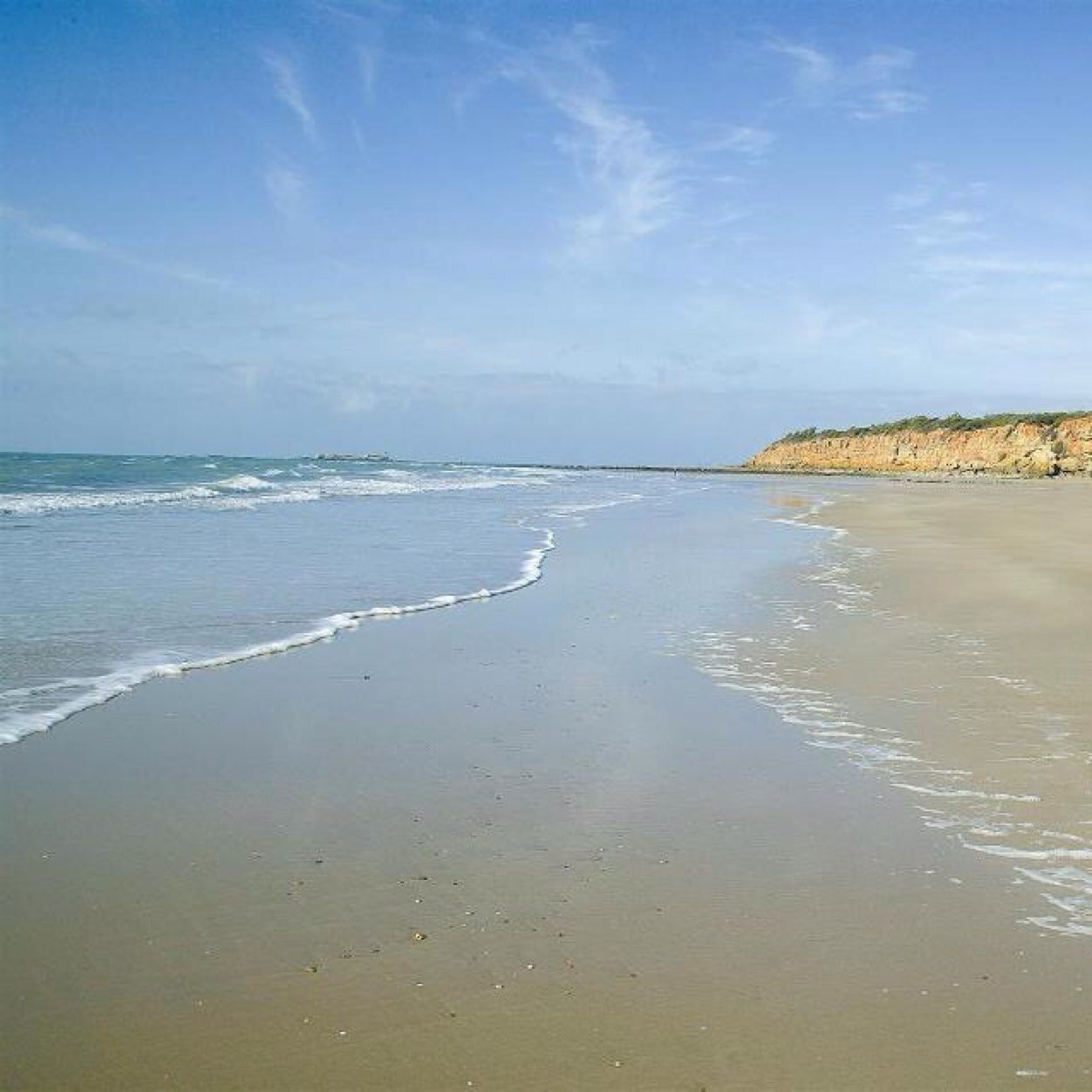 ismael_v_v_9's profile picture. disfruta del camino