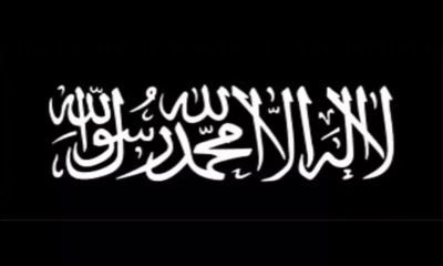 a353c4e8a4de421's profile picture. 