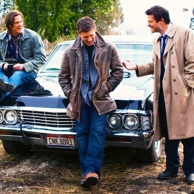 Here to tweet/talk about amazing show Supernatural to the Supernatural Family(: #spnfamily 
follow us you son of a bitch(: