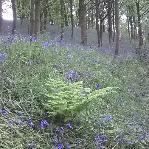 fishboy64's profile picture. 