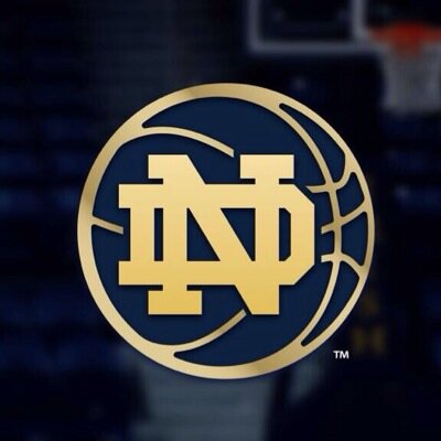 mitchrapp20's profile picture. 