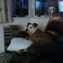 James Turtle - @jamesturtle23 - Twitter