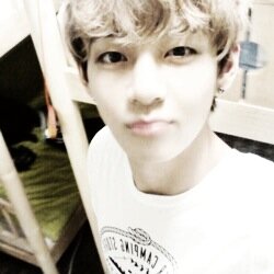 bts' bby lion. 『henry est ma lumière