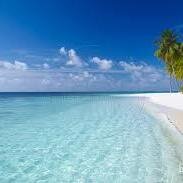 CrisMar60460019's profile picture. 