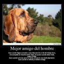 Mario Ramon Peña (@13Marioramon) Twitter