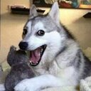 Diego Cabezas - @diegofrancisco_ - Twitter