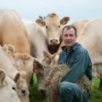 jos bolk (@josbolk) 's Twitter Profile