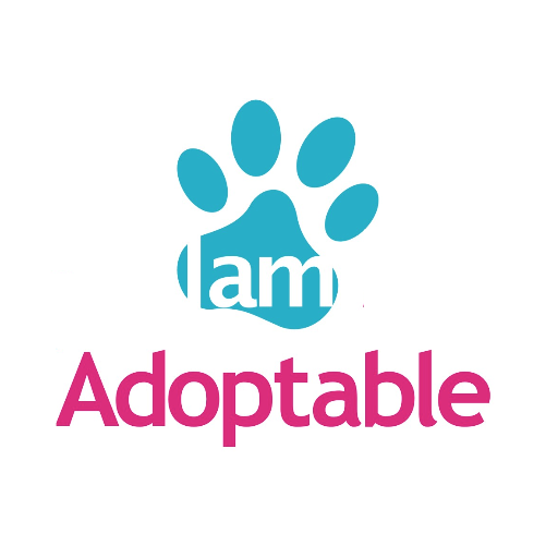 The new way to adopt a pet.  I am Adoptable allows people to watch videos of animals available for adoption to see the true personality of each pet.