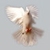 nader enran (@naderen) Twitter profile photo nader enran (@naderen) Twitter profile photo